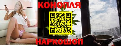 мяу мяу мука Нальчик