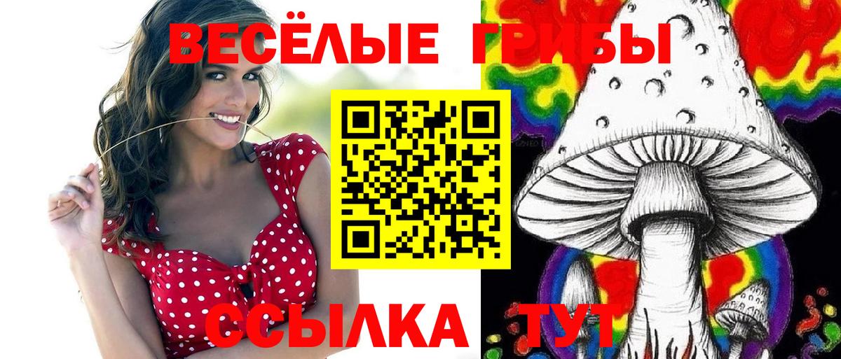 Псилоцибиновые грибы прущие грибы  Вход с VPN  Псилоцибиновые грибы мухоморы  Азнакаево 