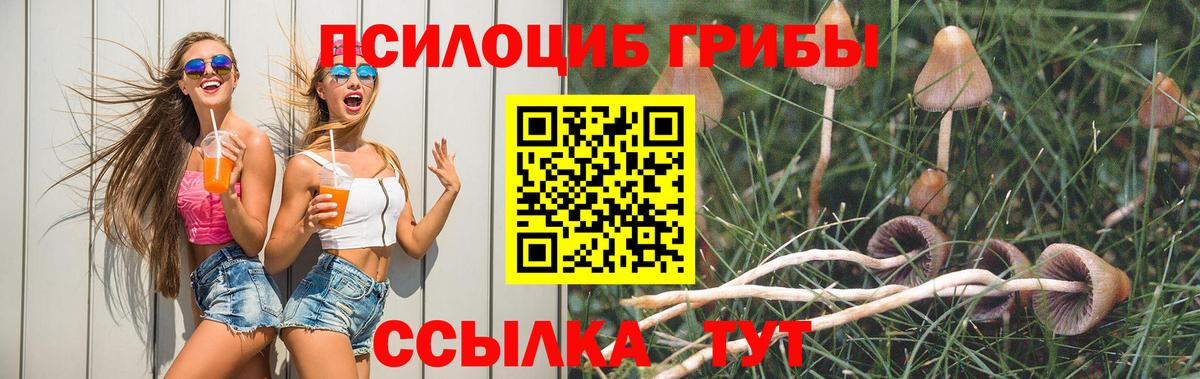 Галлюциногенные грибы мухоморы Азнакаево